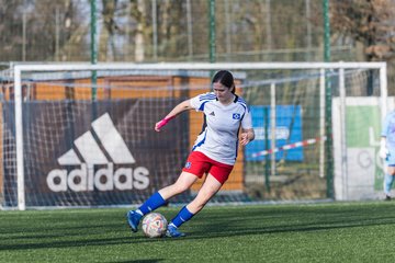 Bild 235 - F Hamburger SV 3 - Blau-Weiss 96 : Ergebnis: 5:1
